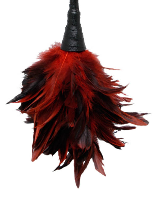 Fetish Fantasy Series Frisky Feather Dusted Red - Cirógatók