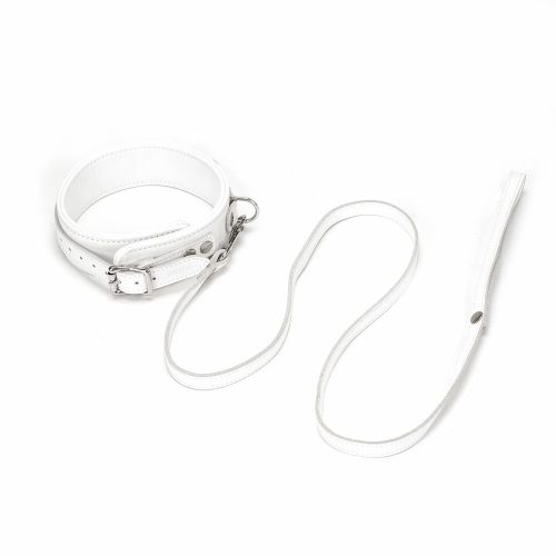 Fuji White Collar with Leash - Nyakörv és póráz