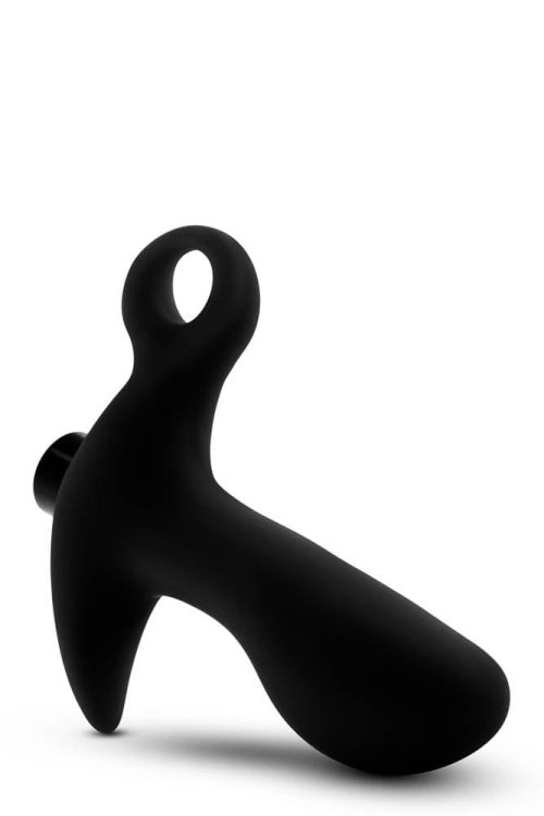 ANAL ADVENTURES PROSTATE MASSAGER 01 - Image 4