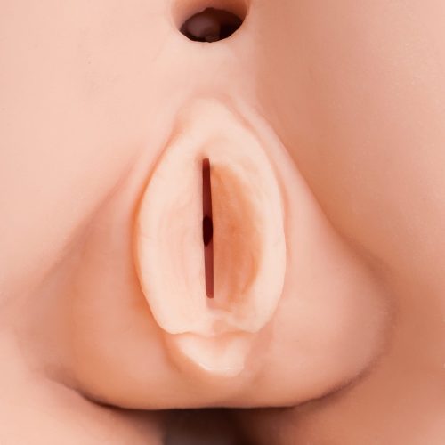 XXX To-Go with CONTROLLER III - Image 3