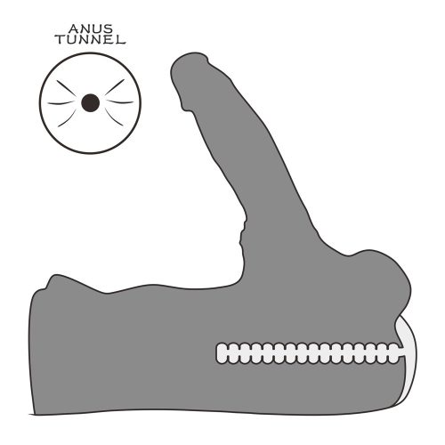 Streetgirl's #15 with Bendable Dildo - Image 3